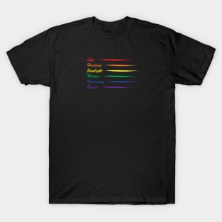 Gay Pride Flag Rainbow Meaning T-Shirt